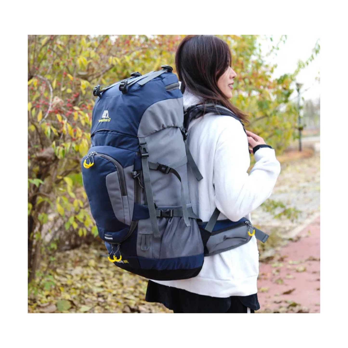 CarryQuest® - 60L - Wandelrugzak - Rugzak - Wandelen - Waterbestendig - Duurzaam - Polyester - Blauw
