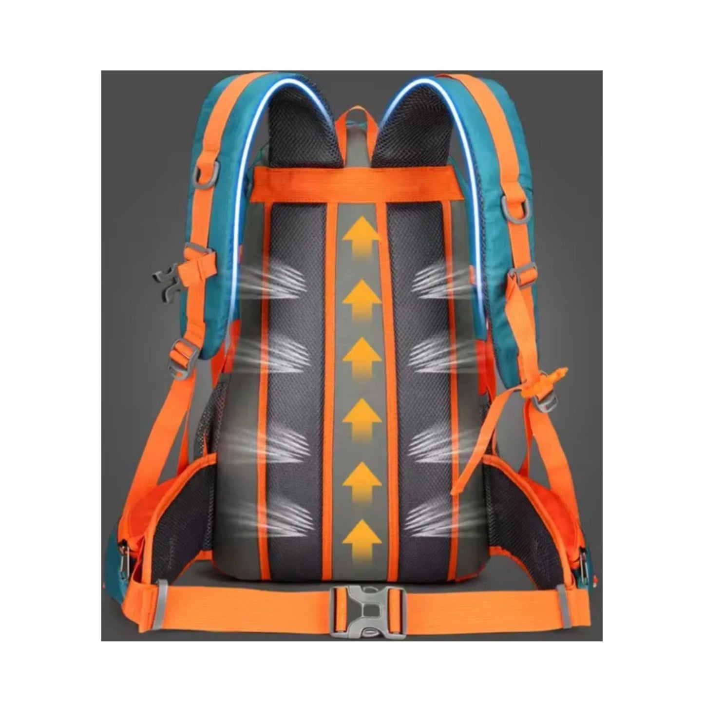 CarryQuest® - Rugzak - Waterzak - Wandel rugzak - Regenhoes - 35L - 2L - Waterzak Wandelen - Zwart